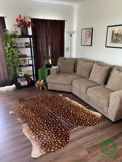 Axis Deer