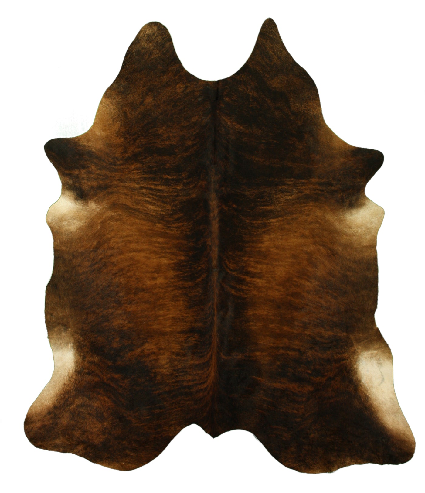 Exotic Brindle Cinnamon