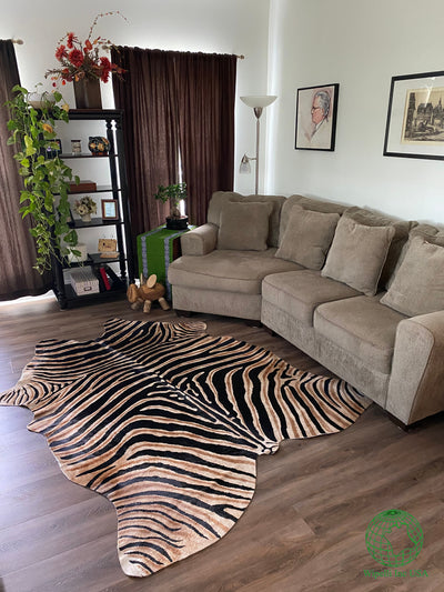 Tricolor Zebra