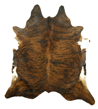 Exotic Brindle Cinnamon