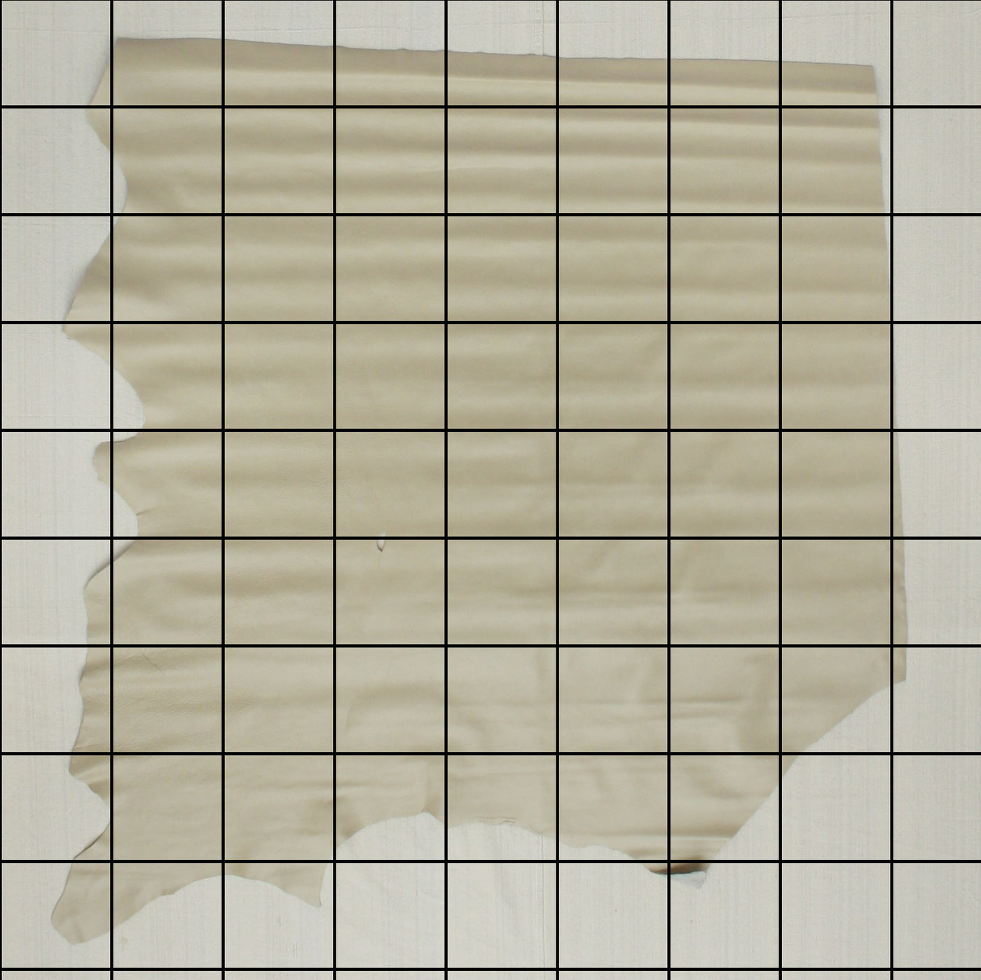 Limited Prototype - 15