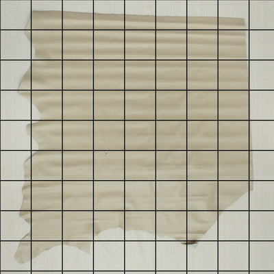 Limited Prototype - 15