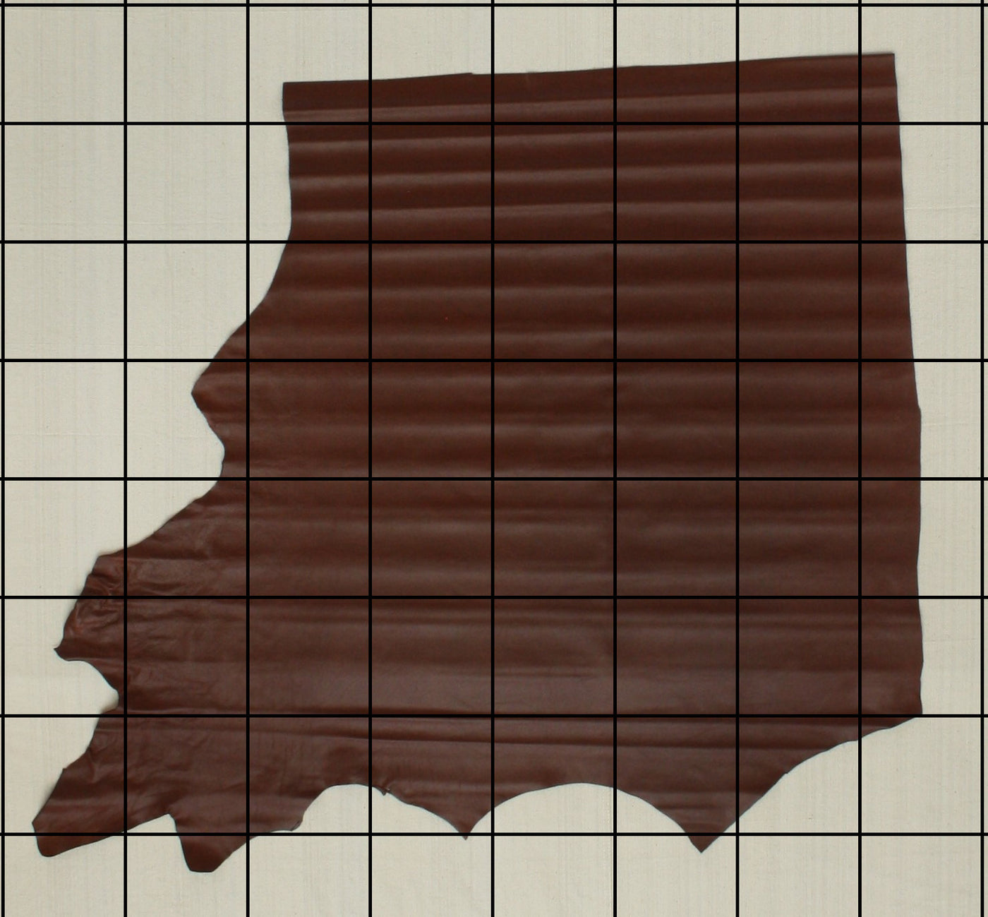 Limited Prototype - 17