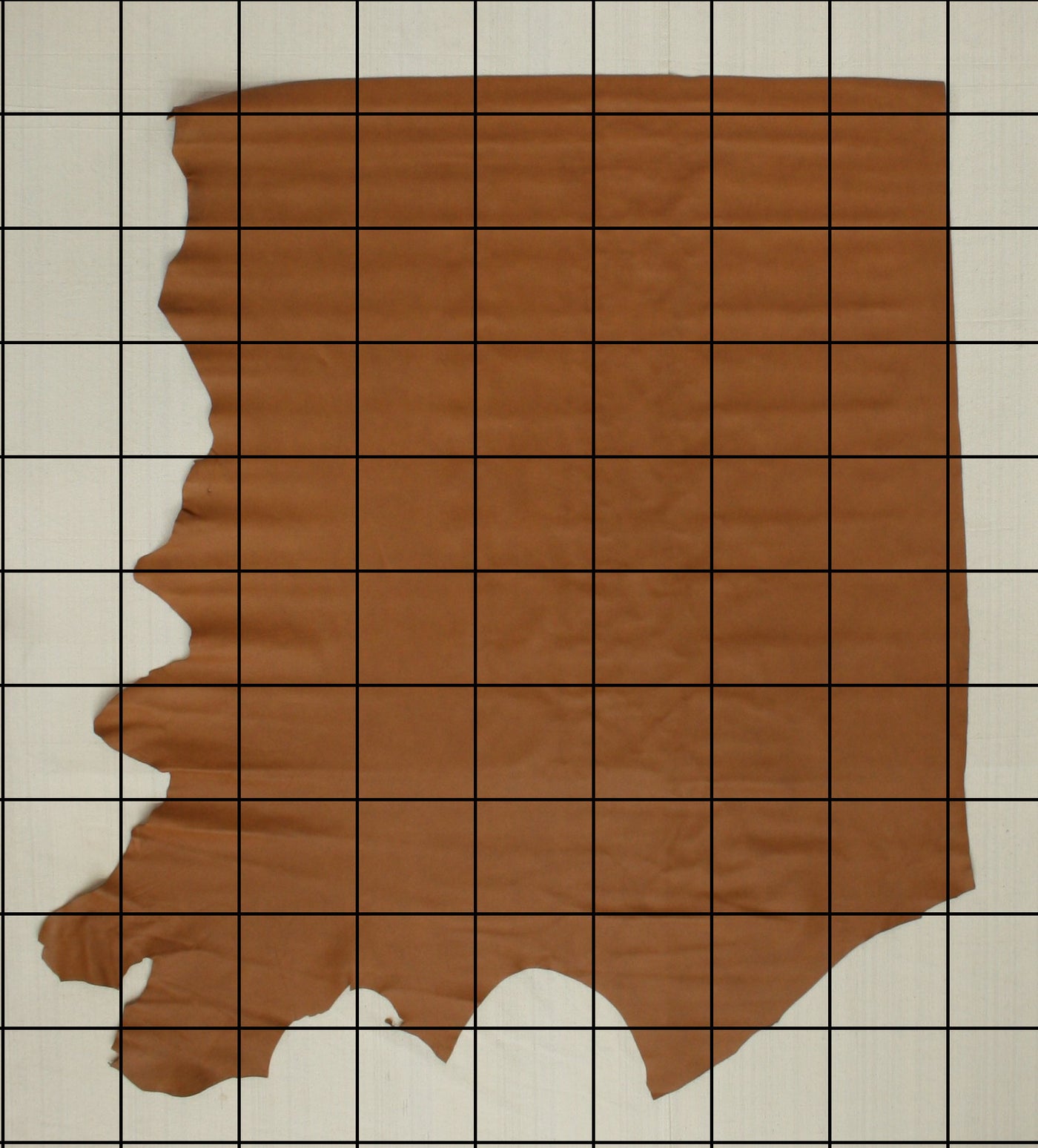 Limited Prototype - 5